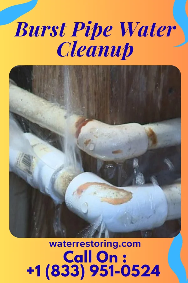 Burst Pipe Water Cleanup in Titusville, PA